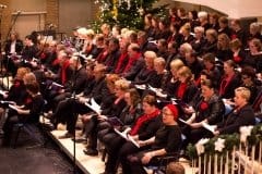 Volkskerstzang 2015 12