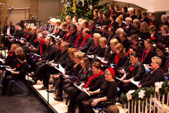 Volkskerstzang 2015 12